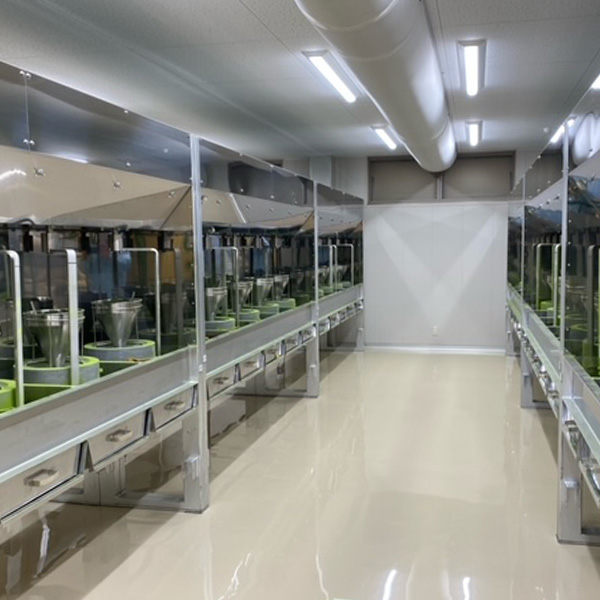 京都宇治 茶游堂 宇治抹茶プレミアムアイス「濃茶」 8個入り【年間ギフト】 商品画像6