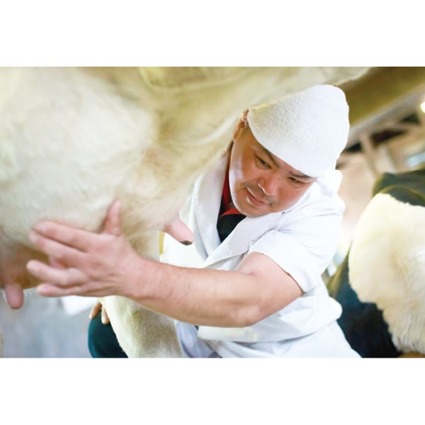 栃木 那須千本松牧場 牧場ミルクレープ 6号1個【KN】　商品画像6