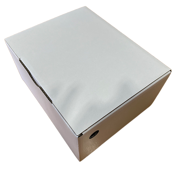 沖縄県(石垣島市)産アグロオーガ八重山フルーツ部会のボゴールパイン計1.5kg(2-3玉入り)【お届け期間:5月9日〜6月30日】【旬鮮便】【NN】　商品画像6