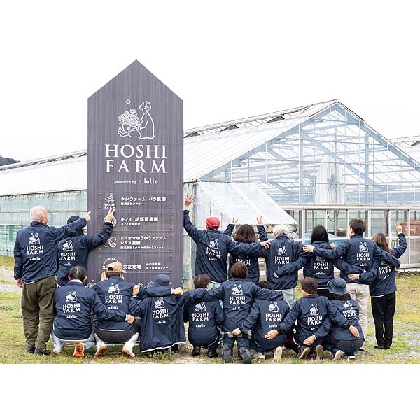 ホシファーム カーネーション＆徳島なると金時のどら焼き【母の日】　商品画像7