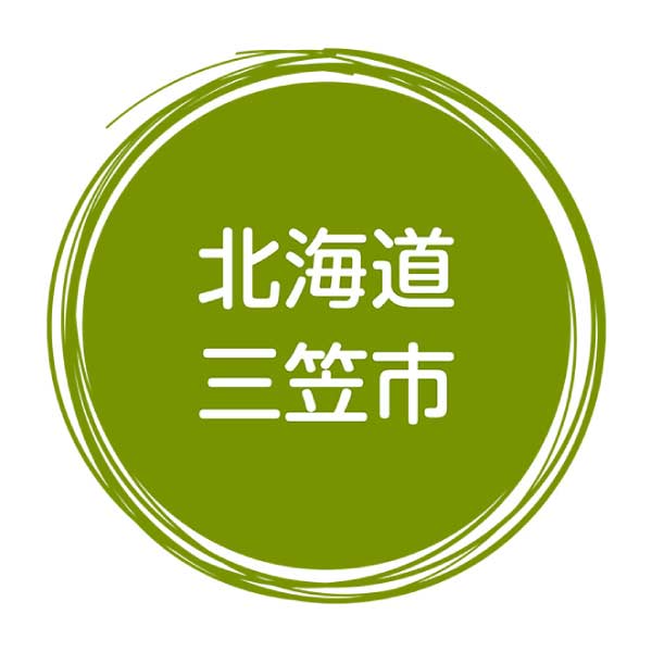 北海道三笠市産(イオン農場) 三笠メロン(I.Kメロン)2個入り(お届け期間：6/21〜7/18)【夏の贈りもの・お中元】　商品画像7