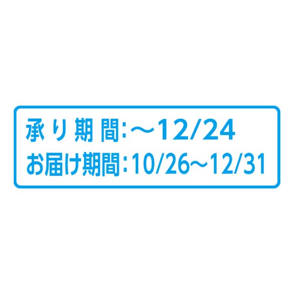ピッツァアルターイオ ローマの四角いピッツァ3種セット【冬の贈りもの・お歳暮】[PHIO-6]　商品画像7