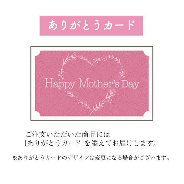 タカハシプランテーション カーネーション「さくらもなか」（SUSTEE付） 【母の日】　商品画像4