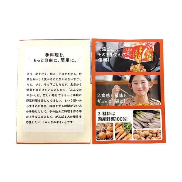 JA全農青果センター みんなのやさい(素材パック)(お届け期間:10/26〜12/30)【冬の贈りもの・お歳暮】 商品画像7