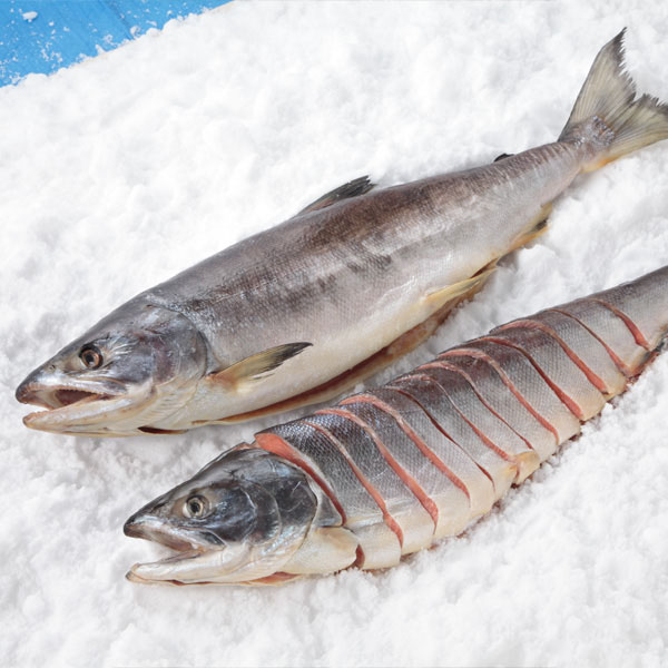 NSニッセイ 北海道認証 14日間熟成新巻鮭　姿切身半身【おいしいお取り寄せ】　商品画像7