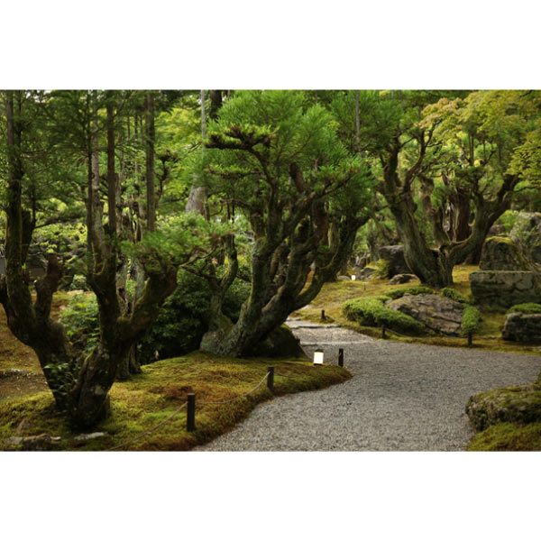 京都しょうざん 和洋中二段三重【3人前・55品目】【イオンのおせち】　商品画像7