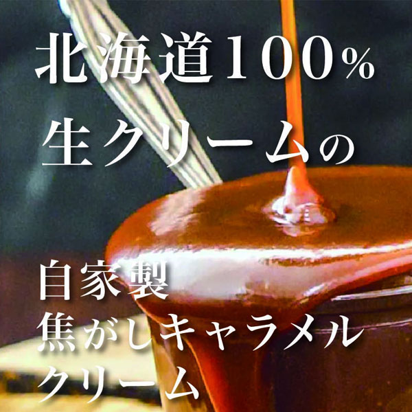 toroa とろ生ガトーショコラ(340g)【お届け期間:10月2日〜10月10日】【北海道フェア】【おいしいお取り寄せ】　商品画像7