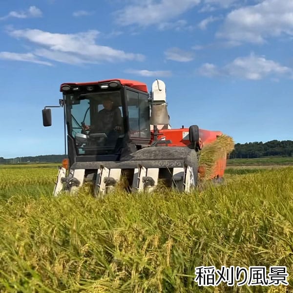 茨城 米農家もろちゃん ミルキークイーンあまざけ(3本入り)【お届け期間:7月1日〜9月10日】【KN】　商品画像4