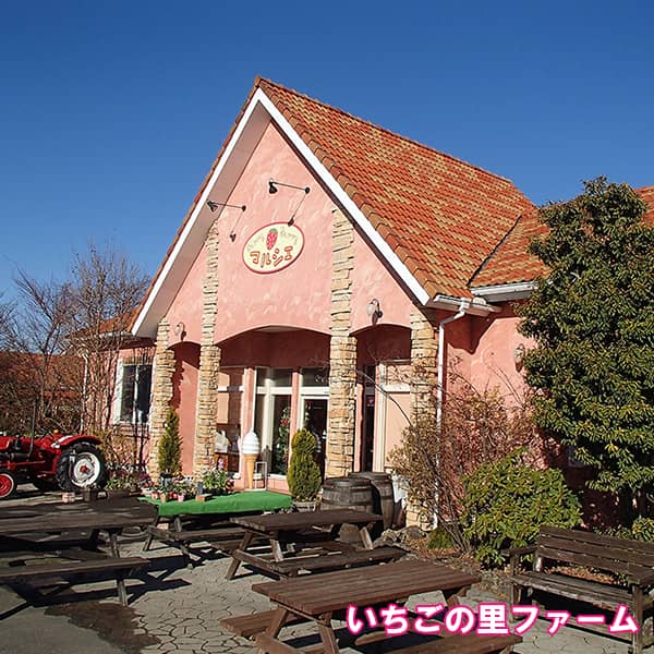 栃木 いちごの里ファーム いちごのダブルフロマージュと【空いちご】スカイベリーのチーズケーキ&ジャム二層デザート6個セット【KN】 商品画像7