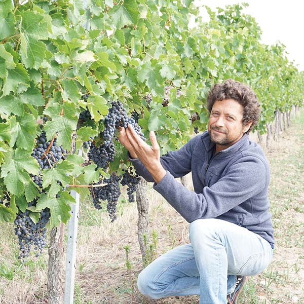 トリプル金賞入り!オー・ブリオンの元醸造家が手掛ける金賞ボルドー赤ワイン6本セット 各750ml【おいしいお取り寄せ】 商品画像7