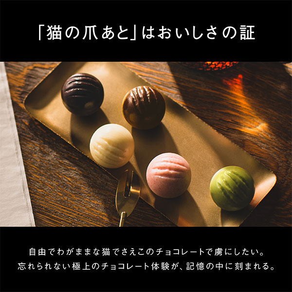 メルティキャット缶 AUTUMN【ハロウィン特集】　商品画像7