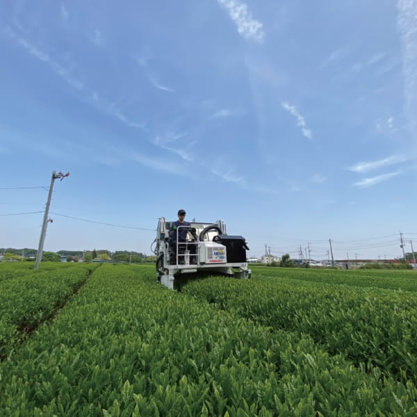 茨城 お茶の根本園 ティーバックギフト4種 [S-2 ]【冬の贈りもの・お歳暮】【KN】　商品画像7