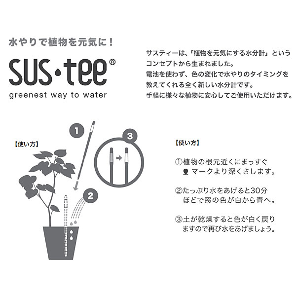SUNCOF カーネーションの寄せ植え(SUSTEE付)＋神戸スイーツポート パウンドバウム 【母の日】　商品画像8