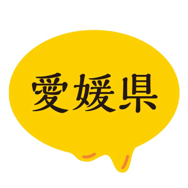 水口酒造 道後ビール・愛媛甘とろ豚セット【冬の贈りもの・お歳暮】[DBAP-43]　商品画像8