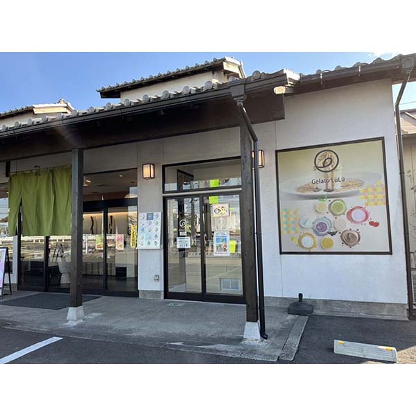 栃木 がんこ職人 れいれい果(11個入)【お届け期間:7月1日〜9月10日】【KN】　商品画像7