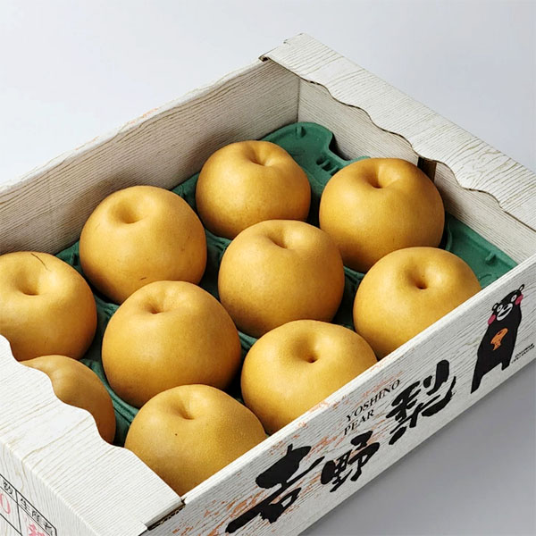 熊本県産 旬の梨 おまかせ 5kg 8〜20玉【お届け期間：8月12日〜9月30日】【サマーセール】　商品画像8