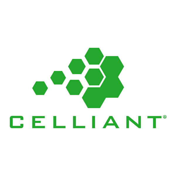 トップバリュ セリアント ソフトベア天竺 上下セット (サイズ：L / カラー：ブラック)【限定20点】 (お届け期間：5月7日〜5月10日)【母の日】　商品画像2