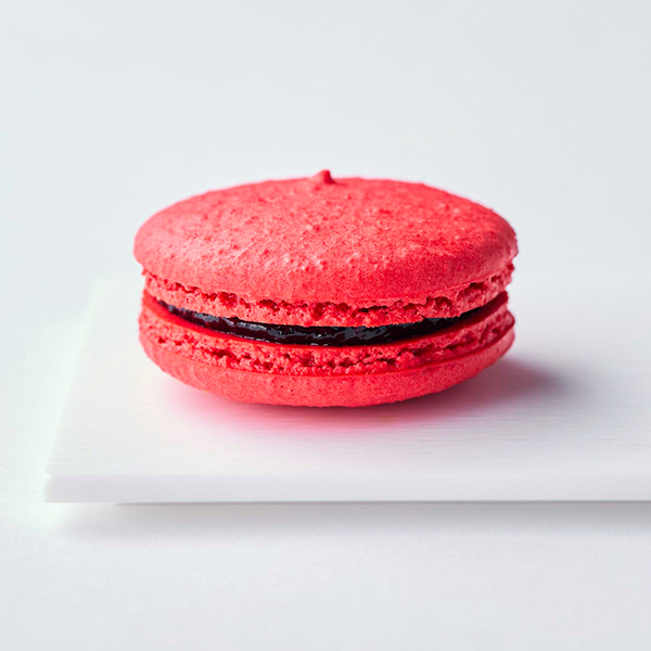 MACARON ET CHOCOLAT テリーヌ＆マカロン6個BOX【おいしいお取り寄せ】　商品画像8