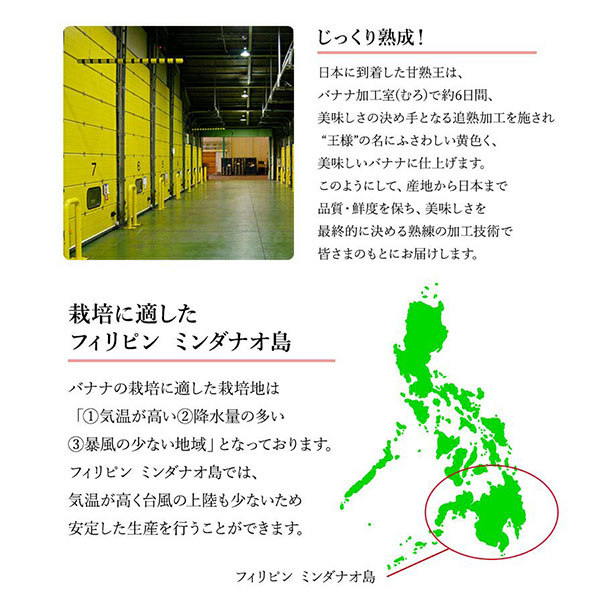 フィリピン産 不揃いバナナ 甘熟王 15kg以上 80本前後【限定200点】【超！春トク祭り】　商品画像8