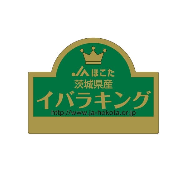 茨城県 JAほこた メロン3種ミックス3Lサイズ3玉入(アンデス・クインシー・イバラキング)【お届け期間:5月18日〜6月30日】【KN】　商品画像6