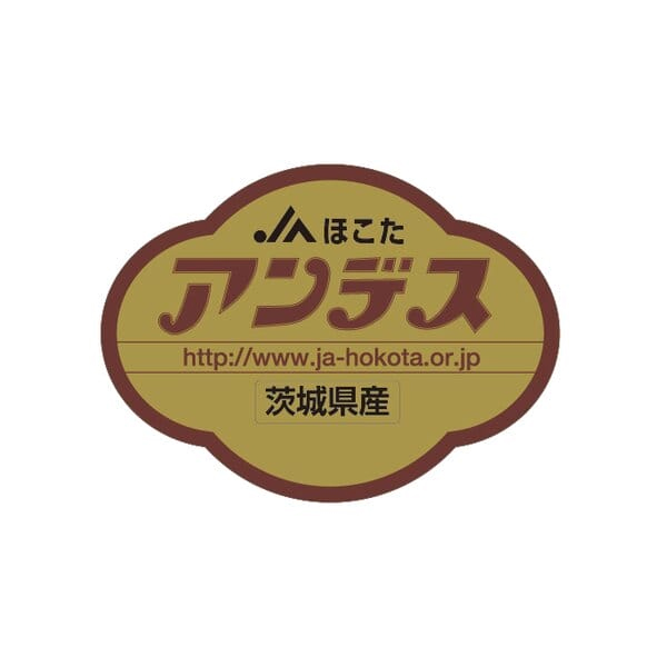 茨城県 JAほこた メロン3種ミックス 4Lサイズ3玉入り(アンデス1玉・クインシー1玉・イバラキング1玉)【限定500点】【お届け期間:5月15日〜6月30日】【KN】　商品画像6