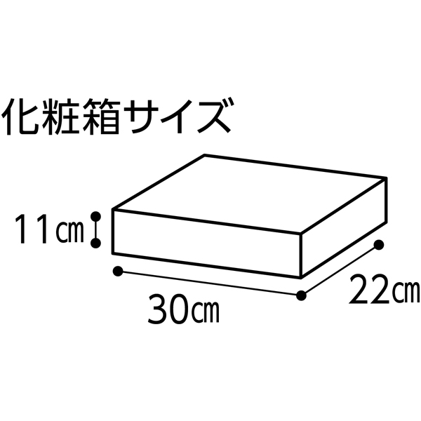 モン・テルセーロ 洋食オードブルセット【4〜5人前・11品目】【イオンのおせち】　商品画像7