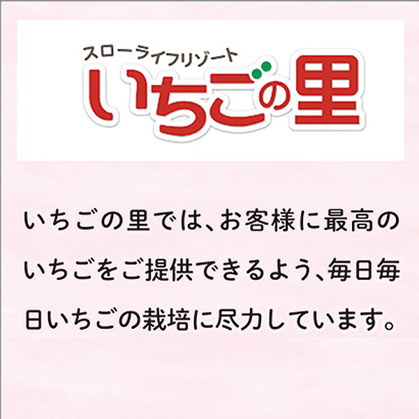 (栃木県)いちごの里ファーム いちごのダブルフロマージュと【空いちご】スカイベリーのチーズケーキ＆ジャム二層デザート6個セット【お届け期間2025/1/11-2025/3/7】【ふるさとの味・北関東】　商品画像9