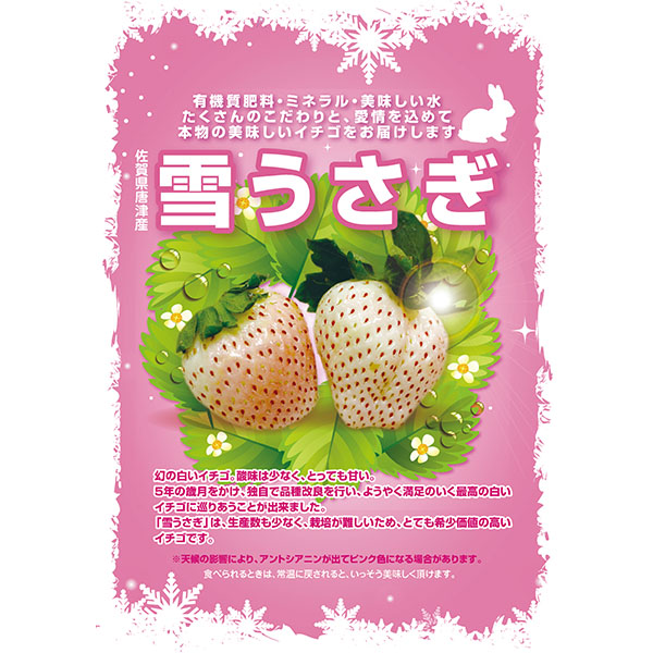 佐賀県唐津産 いちご 雪うさぎ 2パック【限定30点】【お届け期間：12月26日〜12月30日】【年末年始ごちそう特集】　商品画像9