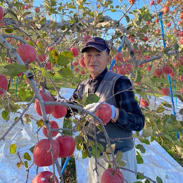 青森県産 田村さんのりんご サンふじ 3kg【お届け期間：12月10日〜12月30日】【Ａセレクション12月】　商品画像9