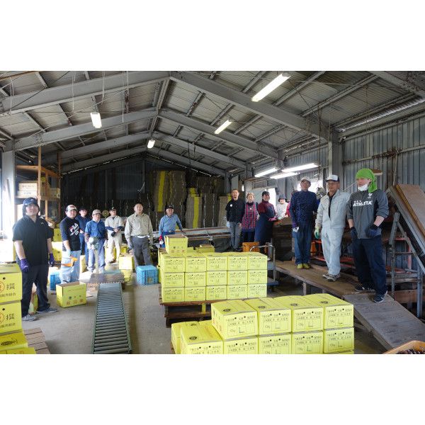 茨城県産 飯沼栗 2kg【限定50点】【お届け期間：10月25日〜11月15日】【おいしいお取り寄せ】　商品画像9