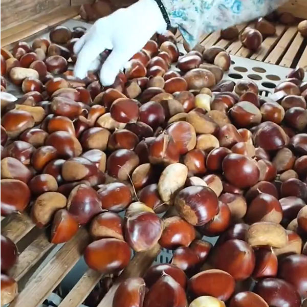 愛媛 栗農家とつくる栗菓子屋モンブラン 城川オリジナルモンブラン3個入【冬の贈りもの・お歳暮】【NN】 商品画像9