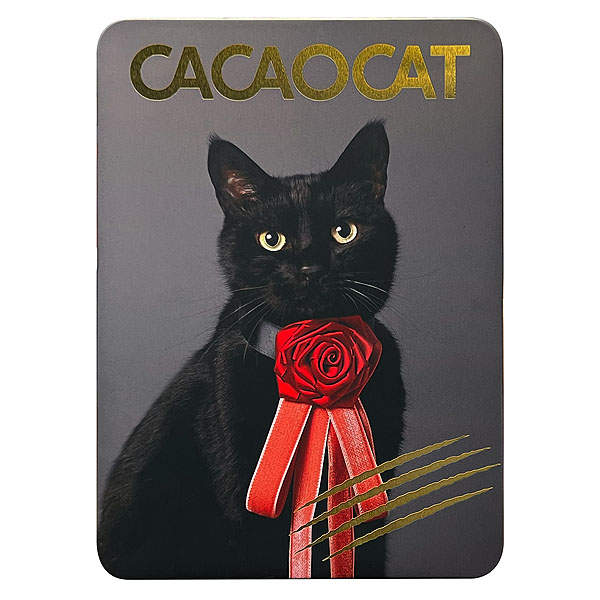 DADACA CACAOCAT缶NOIR チョコレート菓子14個入【お届け期間：1月15日〜2月21日】【バレンタイン】　商品画像9