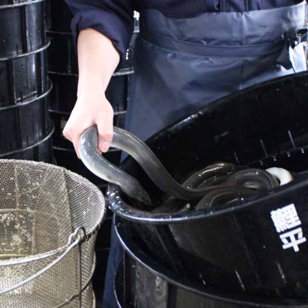 埼玉 鯉平 職人手焼き国産うなぎ蒲焼(2食入(110g×2))【お届け期間:7月1日〜9月10日】【KN】　商品画像7