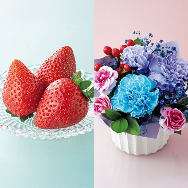 ケーアイ・フレッシュアクセス カーネーション推し色アレンジ(パープル)といちごのセット【母の日】 商品画像1