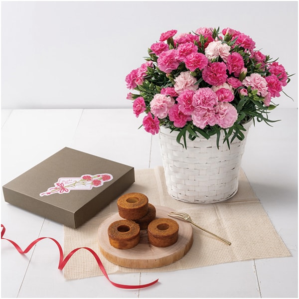 ホシファーム カーネーション＆焦がしキャラメルがしみ込んだバーム4個【母の日】　商品画像1