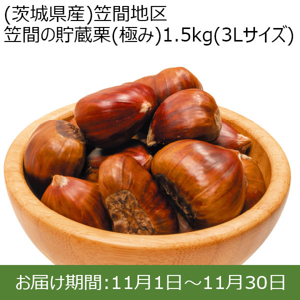 (茨城県産)笠間地区 笠間の貯蔵栗(極み)1.5kg(3Lサイズ)【限定20点】【お届け期間：11/1(金)〜11/30(土)】【ふるさとの味・北関東】　商品画像1