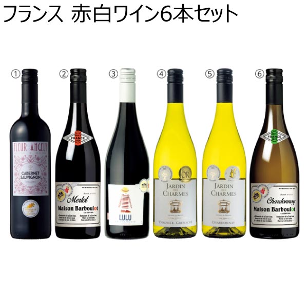 フランス 赤白ワイン6本セット【夏ギフト・お中元】[FS-RB6]　商品画像1