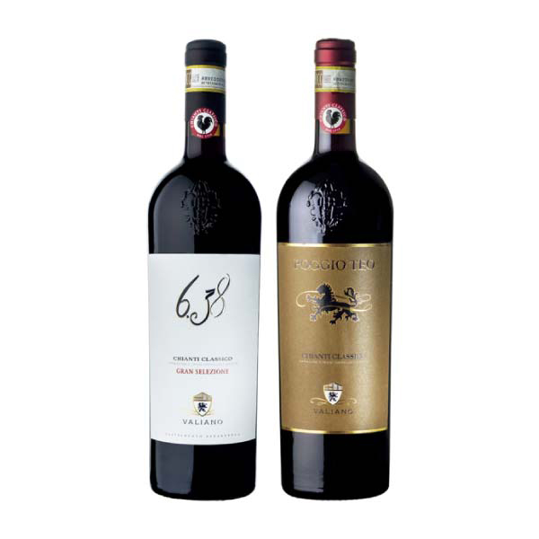 トスカーナを代表する銘醸ワイン キャンティ・クラシコセット【冬の贈りもの・お歳暮】[VA-CB2] 飲料・酒【イオン特選お歳暮】