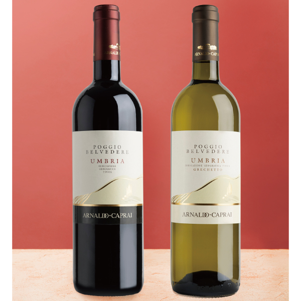 イタリアの名門がてがける 赤白ワインセット【イオンのクリスマス】 飲料・酒 イタリアの名門がてがける 赤白ワインセット【イオンのクリスマス】 飲料・酒