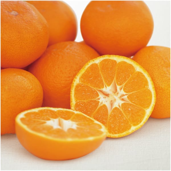 和歌山県産 あんぽ柿(竹籠)&有田みかん(お届け期間:12/1〜12/28)【冬の贈りもの・お歳暮】 商品画像1