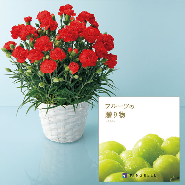 リンベル フルーツが選べるカタログギフトとカーネーションセット(たわわ)【母の日】 商品画像1