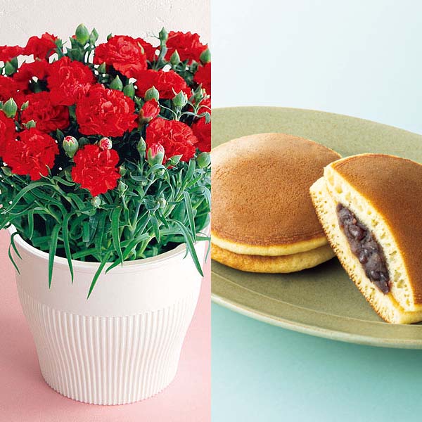アサミグリーンプランツ カーネーション「伝えたい想い」(SUSTEE付)＋花菓蔵の粒あんどら焼き【母の日】　商品画像1