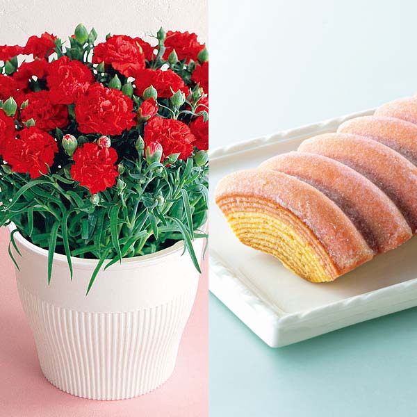 アサミグリーンプランツ カーネーション「伝えたい想い」(SUSTEE付)＋神戸スイーツポートの母の日2層バウム(プレーン＆いちご)【母の日】　商品画像1