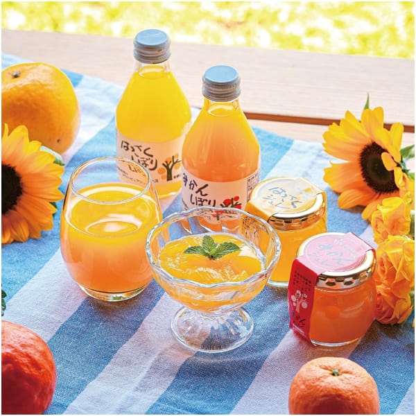 伊藤農園 100%ストレートジュース&ジュレセット【父の日】 商品画像1