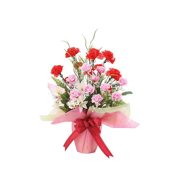 光の楽園 ミックスカーネーション [858R60-109]【母の日】　商品画像1