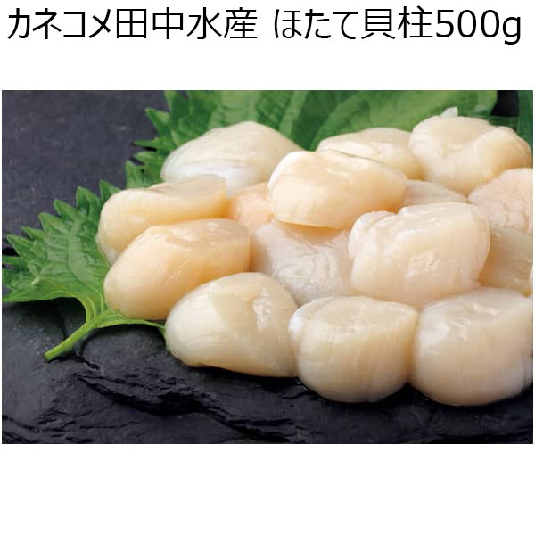 カネコメ田中水産 ほたて貝柱500g 【冬ギフト・お歳暮】 | 魚介