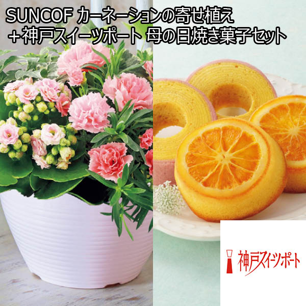 SUNCOF カーネーションの寄せ植え（SUSTEE付）＋神戸スイーツポート 母の日焼き菓子セット 【母の日】　商品画像1