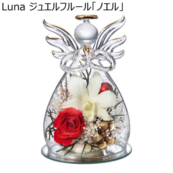 Luna ジュエルフルール「ノエル」 (お届け期間：11/11〜12/23)【冬ギフト・お歳暮】　商品画像1