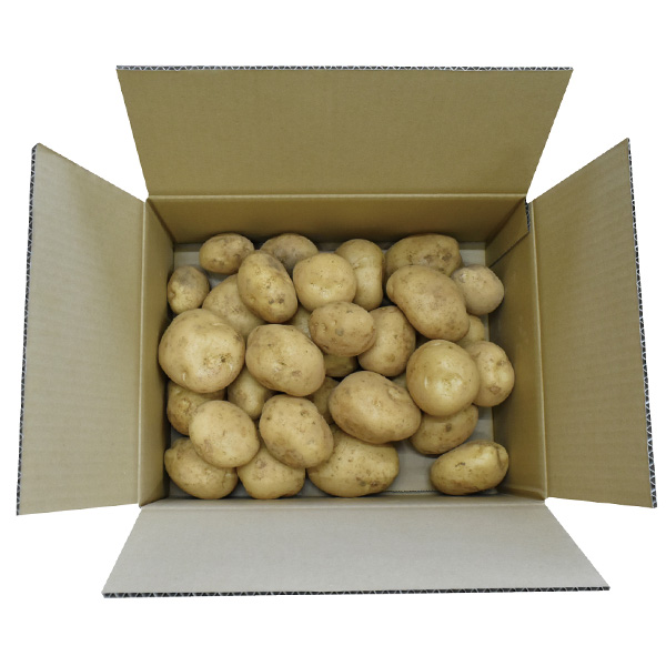 国産 じゃがいも 5kg【限定50点】【お届け期間:2月2日〜2月13日】【お買い得セール1月】 商品画像1