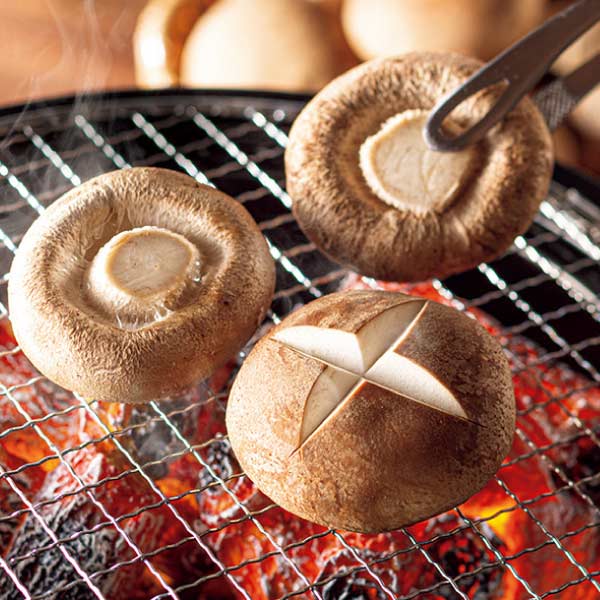 トップバリュ グリーンアイオーガニック 北海道産(清田しいたけファーム)オーガニック生しいたけ(菌床栽培)ギフト 大【夏の贈りもの・お中元】　商品画像1